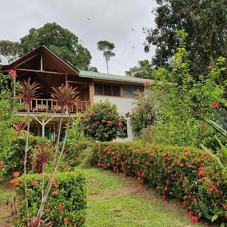 Drakes Bay Casa Horizontes Corcovado B&B 외부 사진