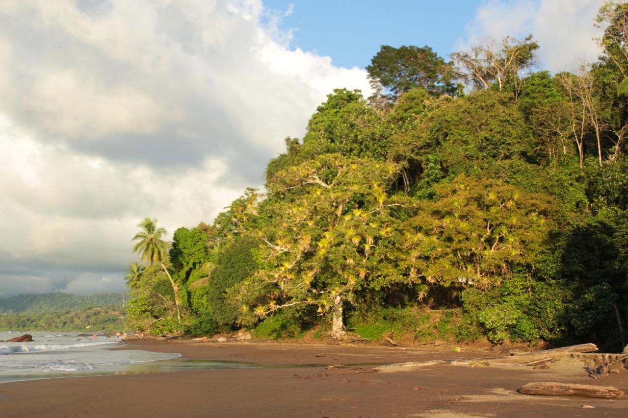 Drakes Bay Casa Horizontes Corcovado B&B 외부 사진